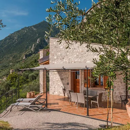 Limone B