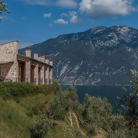 Limone B